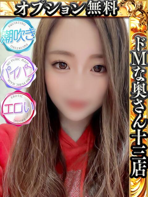 メイサ ドMな奥さん 十三店（人妻ホテヘル＆デリヘル）