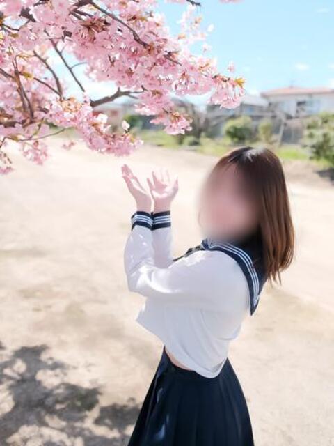 佐々木ひめ【PREMIUM】 素人専門キラキラ学園（学園系デリヘル）
