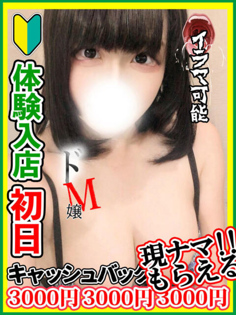 蒼羽ののか 全裸にされた女たちor欲しがり痴漢電車（ホテヘル）