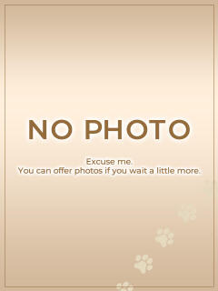 三島ふうか 神戸ぽっちゃりTIGER（三ノ宮/デリヘル）