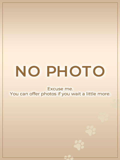 三島ふうか 神戸ぽっちゃりTIGER(ぽっちゃり系デリヘル)