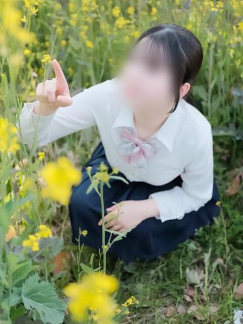 山口ゆりこ 素人専門キラキラ学園（学園系デリヘル）