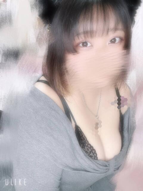 にこ ちゃんこ本厚木店（ぽっちゃり専門デリヘル）