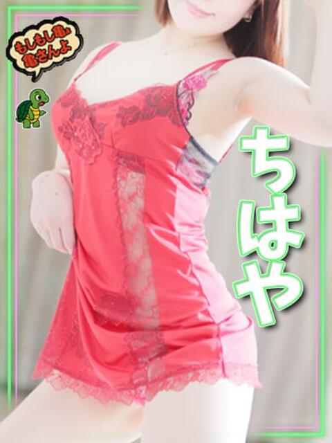 ちはや もしもし亀よ亀さんよ 名古屋店（デリヘル）