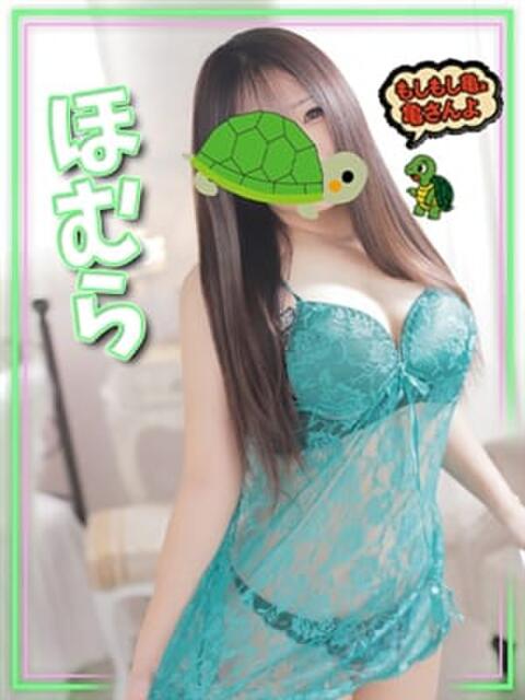 ほむら もしもし亀よ亀さんよ 名古屋店（デリヘル）