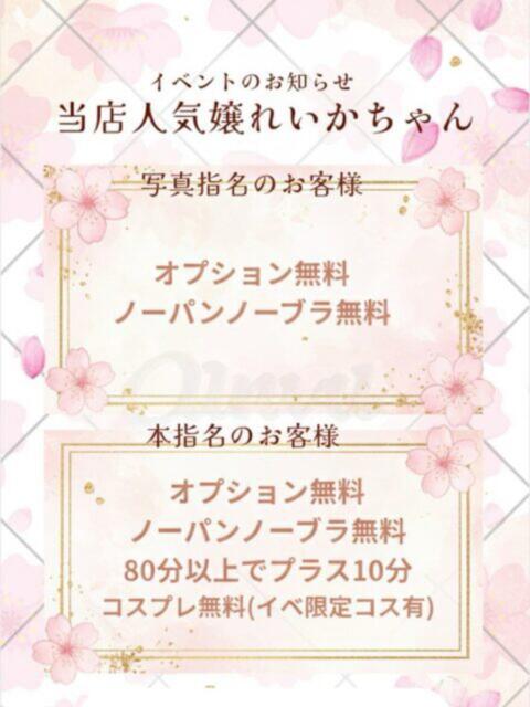 れいか 茨城水戸ちゃんこ(ぽっちゃりデリヘル)