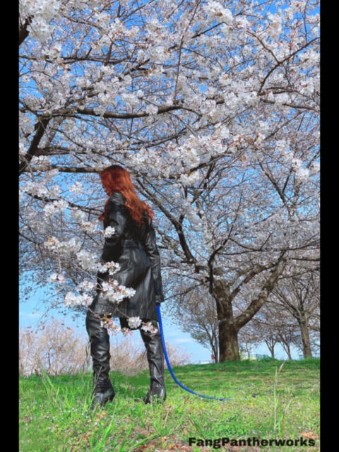 凍結 完全会員制SM倶楽部M′s Reboot（エムズリブート）（出張SMクラブ）