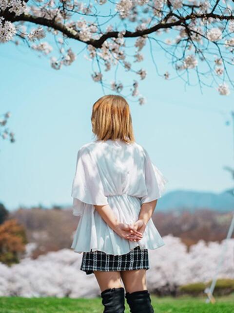 せいか★爆乳マット Precede Girls&Ladies 松本駅前店（人妻系デリヘル）