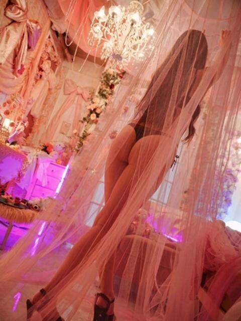 なえ 新宿プチドール(ファッションヘルス)