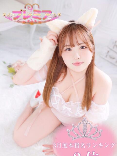 ありあ ぽっちゃり巨乳素人専門店ぷにめろ池袋店（ぽっちゃり系デリヘル）