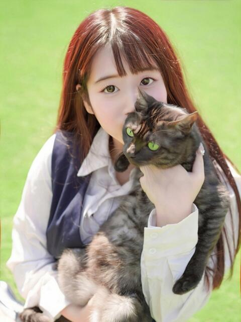 ひな OL倶楽部宇部（デリヘル）