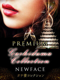 ちゃんみな ガチ妻コレクション（日本橋/デリヘル）