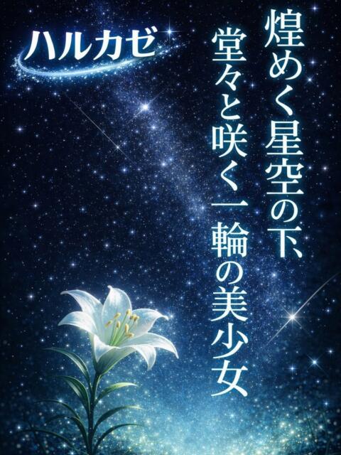 ハルカゼ ギャルズネットワーク 姫路（デリヘル）