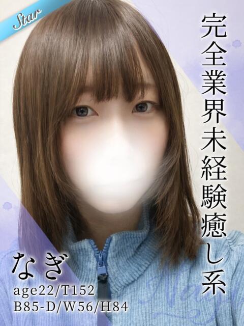 なぎ 東京リップ 池袋店（美女・美少女専門ホテヘル ＆デリバリーヘルス）