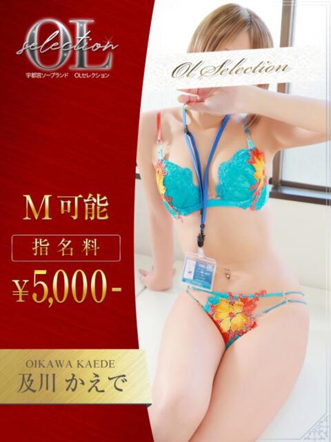 及川　かえで OLセレクション宇都宮店（ソープランド）