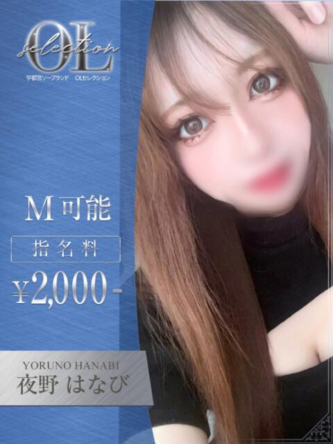 夜野 はなび OLセレクション宇都宮店(ソープランド)