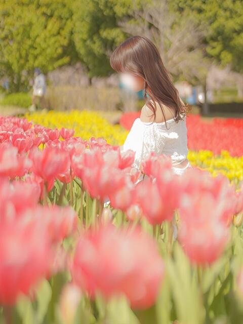りりか つくば人妻花壇（人妻系デリヘル）