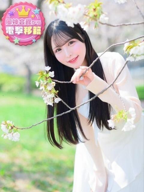 みんアカデミー在籍 風神会館新宿店（デリヘル）