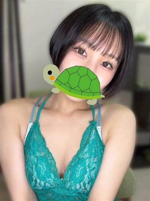 さくら もしもし亀よ亀さんよ 名古屋店（デリヘル）