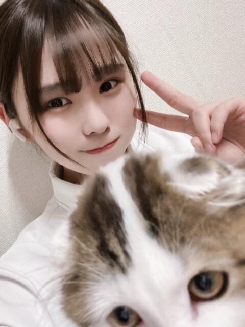 NHちすず a．bitch α（デリヘル）