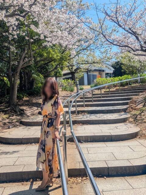 森 人妻風俗チャンネル（人妻デリヘル）