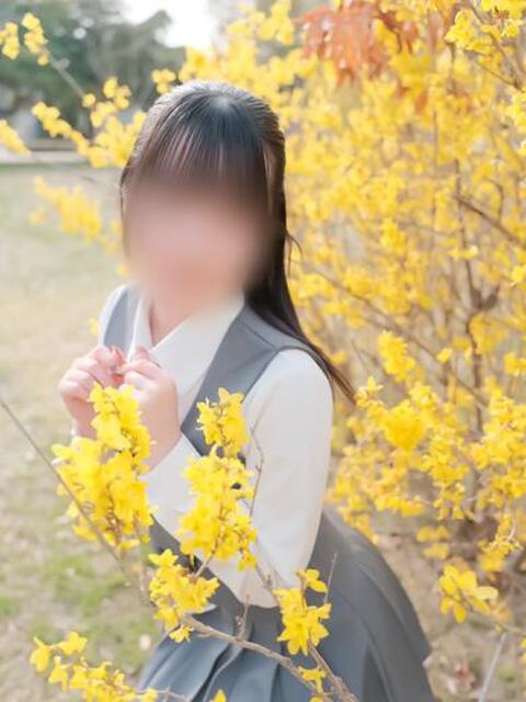 斉藤るい【優等生】 素人専門キラキラ学園（学園系デリヘル）