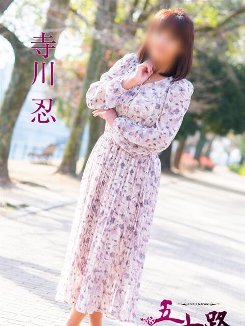 寺川忍 五十路マダム 広島店(熟女デリヘル)