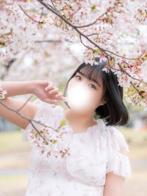 ちほ サンキュー沼津店（サンキューグループ）（激安デリヘル）