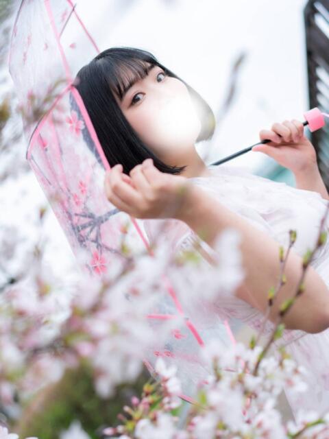 ちほ サンキュー沼津店（サンキューグループ）（激安デリヘル）