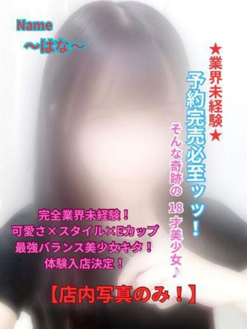 はな⭐︎ 予約完売必至ッッ！！ 石庭（ソープランド）