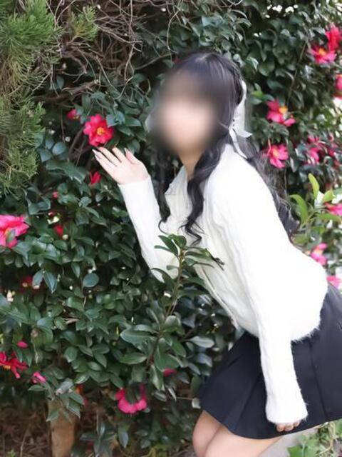 栃木いちご 素人専門　街角レディ（デリヘル）