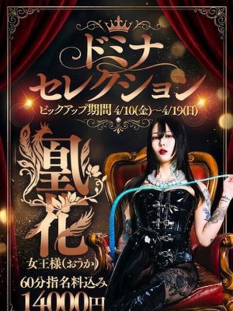 凰花女王様 クラブドミナ（SMクラブ）