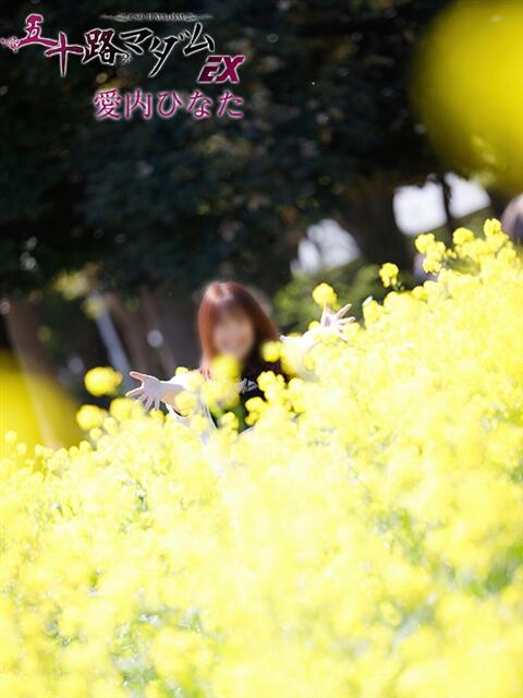 愛内ひなた 五十路マダムエクスプレス船橋店(カサブランカグループ)（熟女デリヘル）