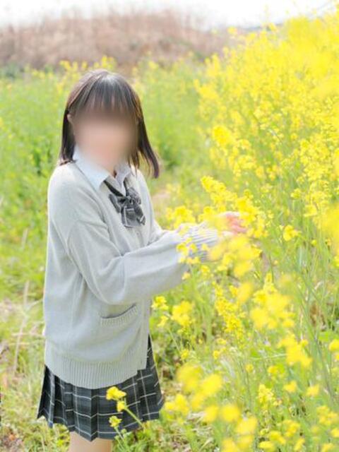 卯月めあ【PREMIUM】 素人専門キラキラ学園（学園系デリヘル）