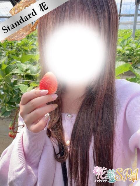 なみえ☆STANDARD ハナハナSPA〜花華〜（出張アロマエステ）