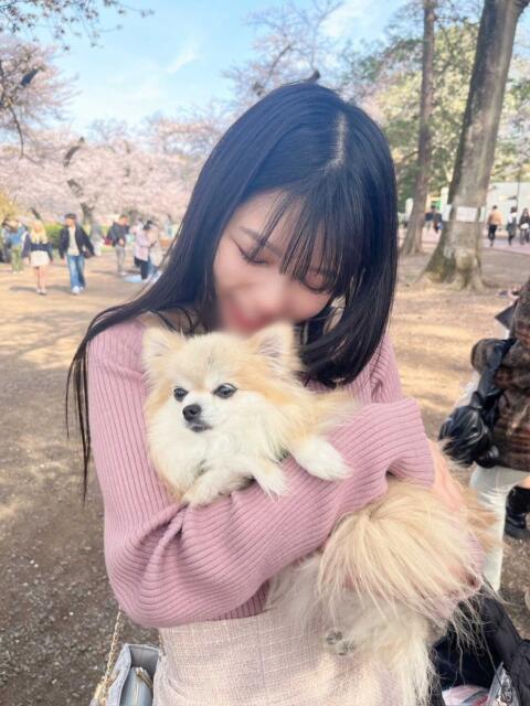 ゆき 優しいM性感 五反田（M性感デリヘル）