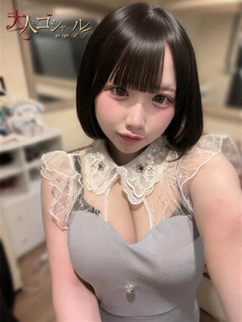 ひな【プレミアム】 大人のゴシャール（ソープランド）