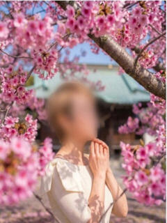 まみ 奥様鉄道69 岡山店（田町/デリヘル）