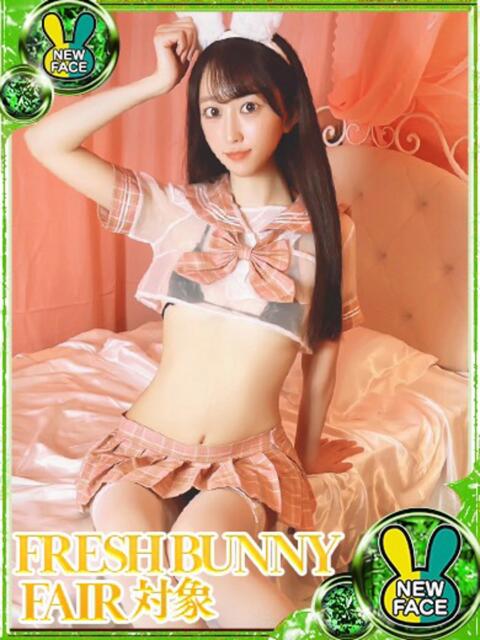 ラム バニーコレクション新潟店（ソープランド）