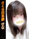 せな club さくら日本橋店（日本橋/ホテヘル）
