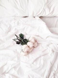 イブキ PINK PLANET（和歌山/デリヘル）