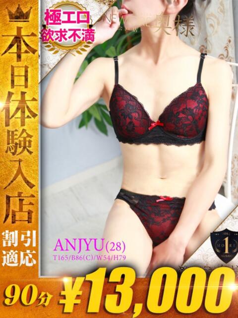 あんじゅ One More 奥様　松戸店（人妻系デリヘル）