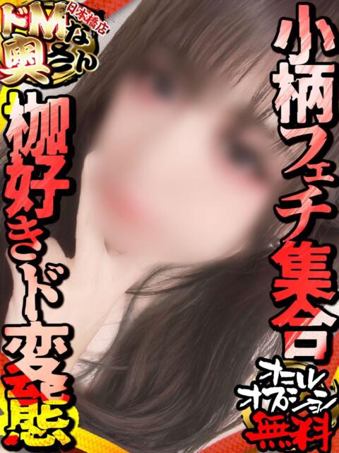 ニノ ドMな奥さん 日本橋店（ホテヘル）