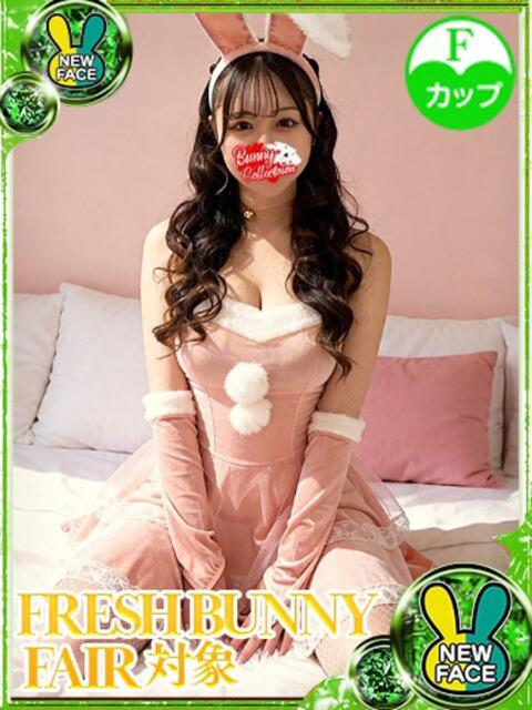 ルリ バニーコレクション新潟店（ソープランド）