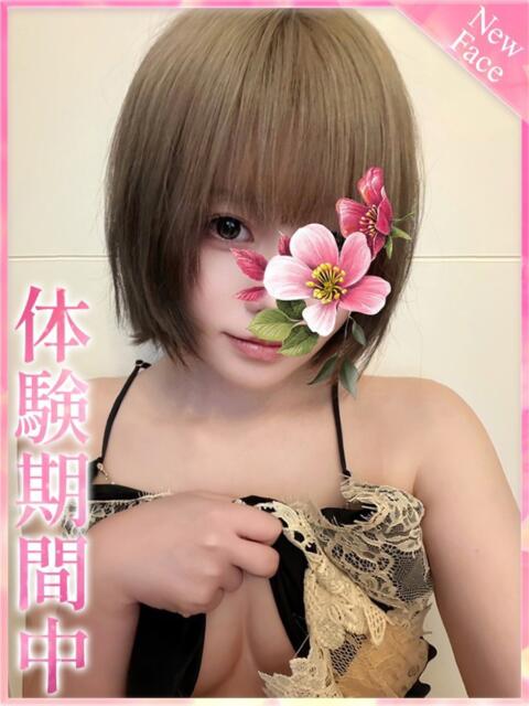 みるきー プロフィール 京都店（デリヘル）