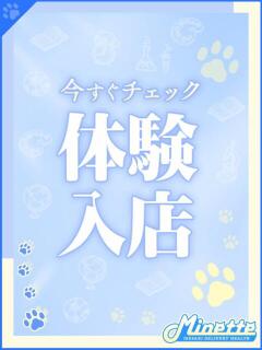 せな【体験入店】 Minette ～ミネット～ 高崎店（高崎/デリヘル）