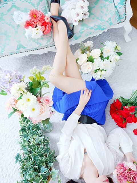 菫(すみれ) PLUS十三店（熟女デリヘル）