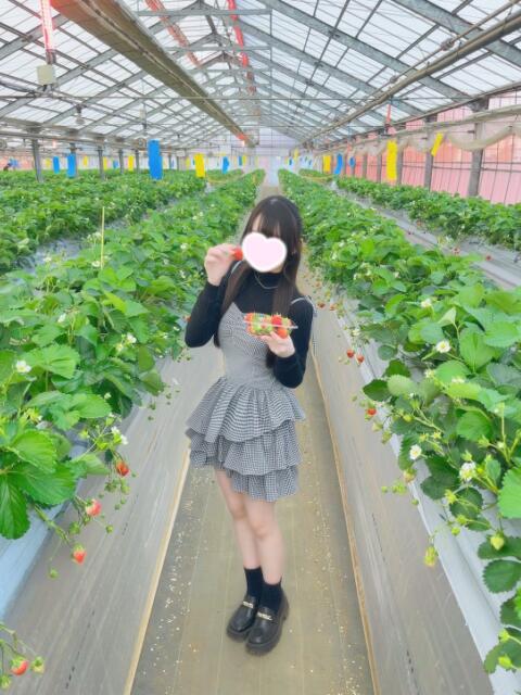 ここ 池袋S級素人派遣型東京美少女物語（派遣型リフレ）