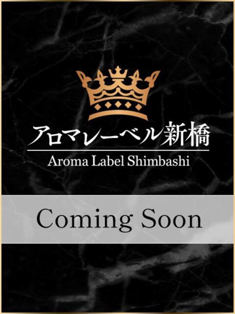 皐月ななせ アロマレーベル新橋（シンデレラグループ）（回春エステ）