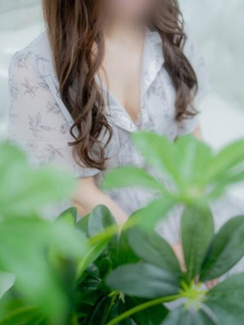 ひな 清楚系美女専門店PLATINUMプラチナム四日市店（デリヘル）